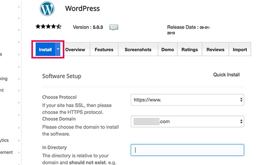 install the WordPress website setup theme and demo upload 