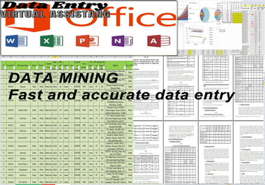 Data entry professional MS excel automation and virtual assistant