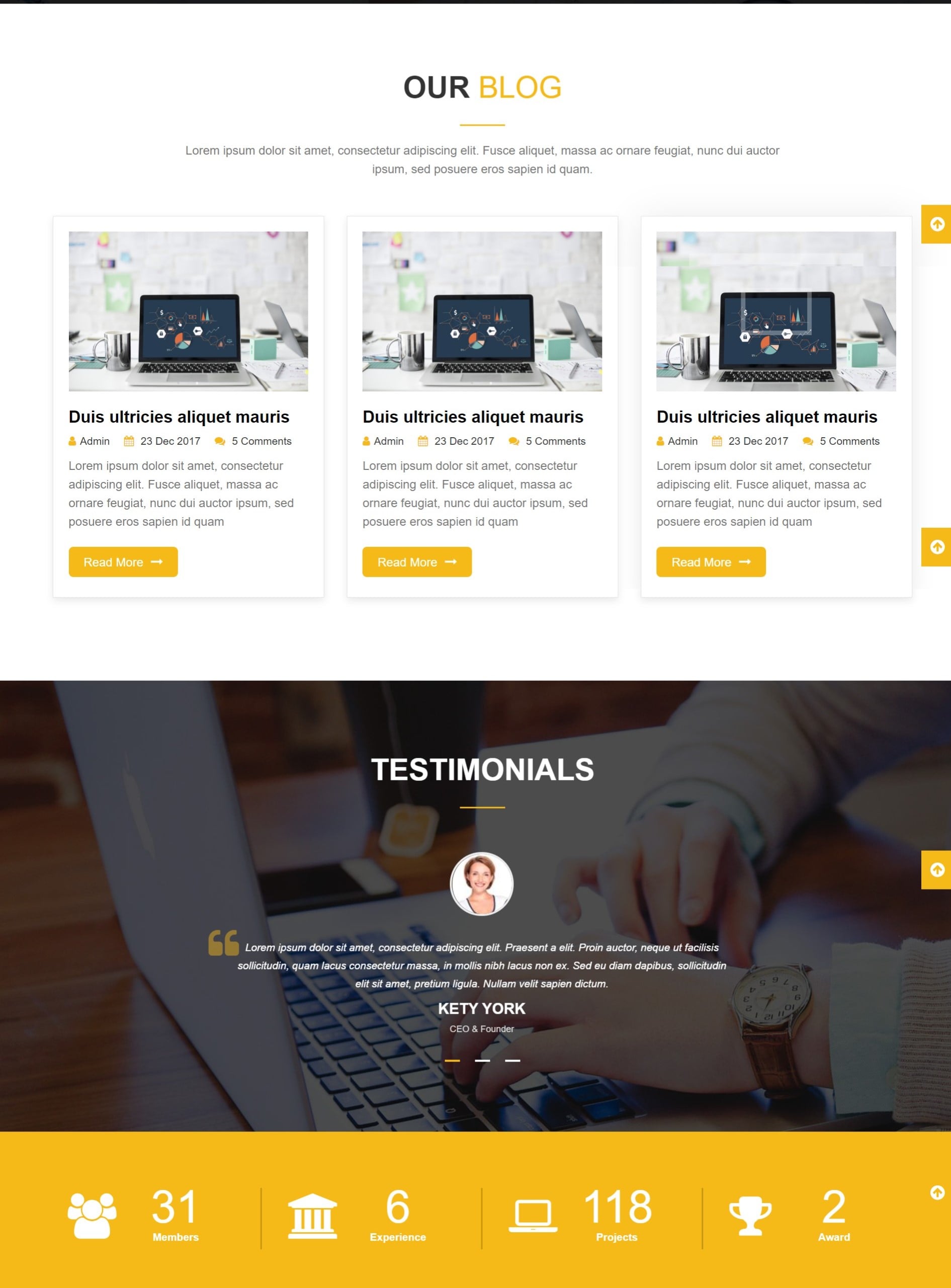 Wordpress Developer And Website Designer