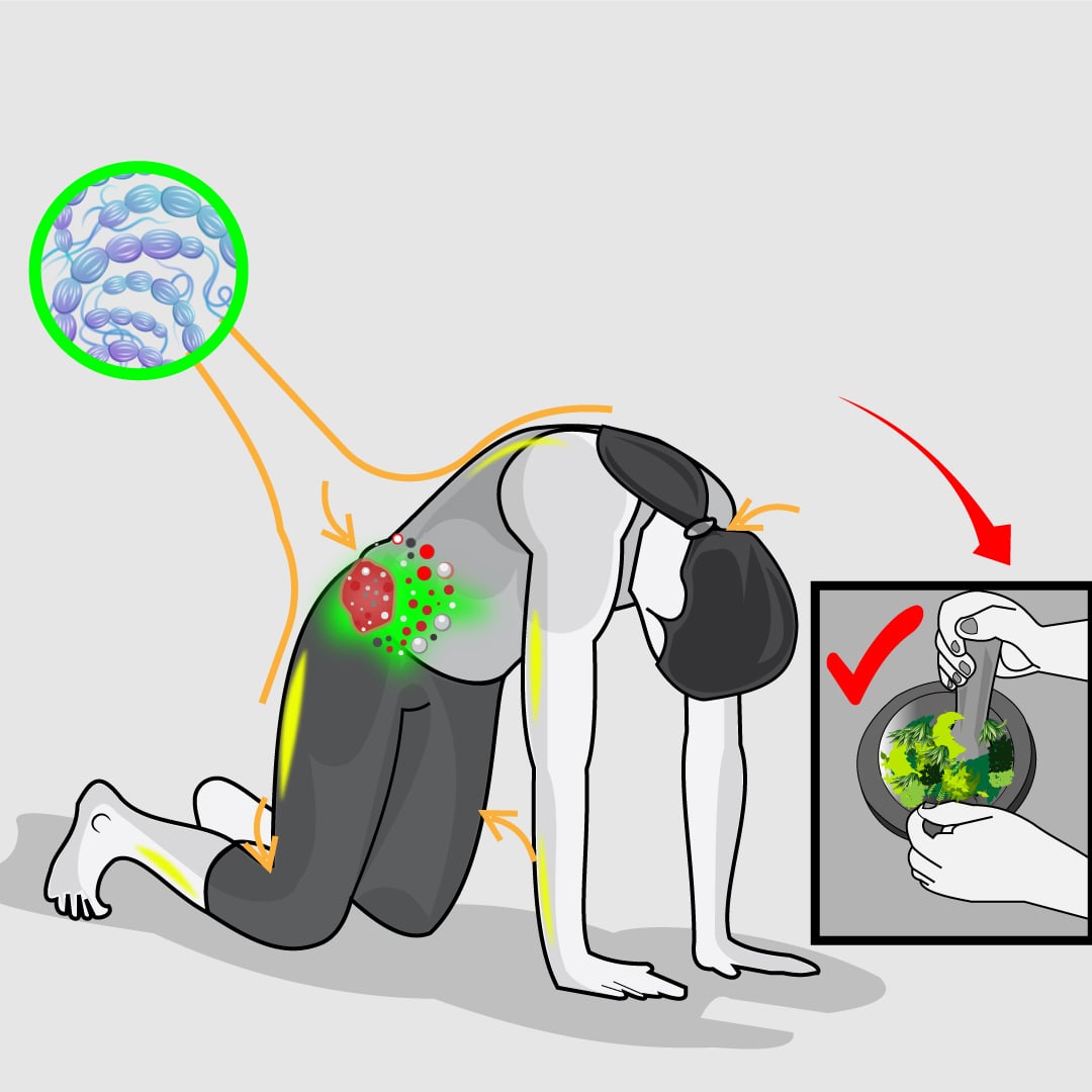 I will illustrate Facebook ads image and video animation in line art vector