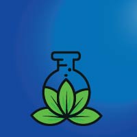 I edit videos, create designs, and modify them with high quality