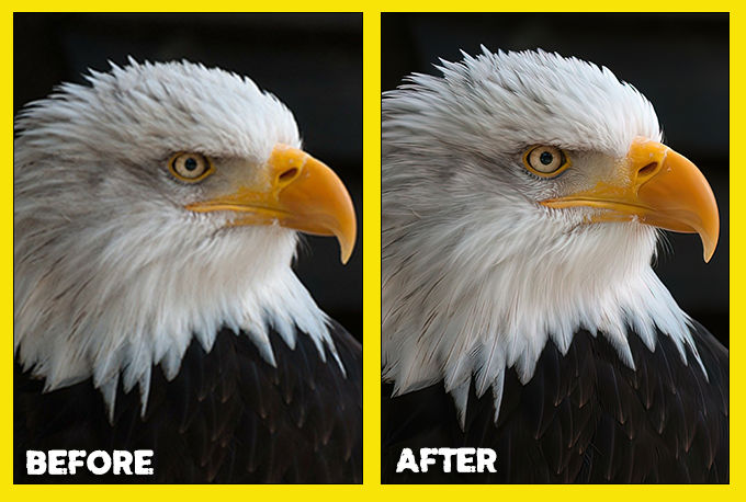 I will make low resolution photo to high (3 images)