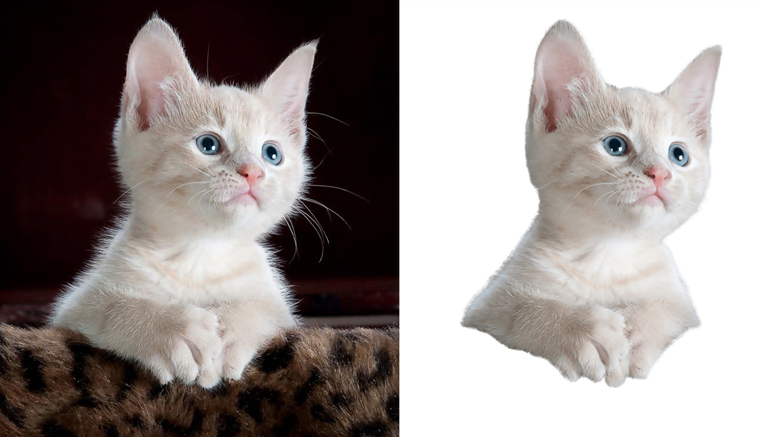 I will do removal background and clipping path service within 24 hours