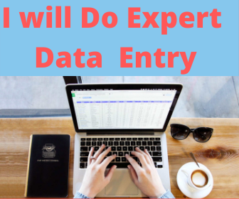 I will Do expert & Accurate data Entry, Copy Paste , typing & Converting work