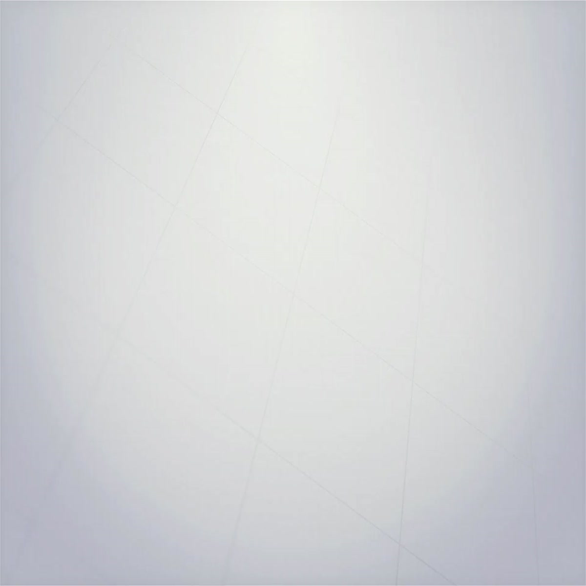 I will create the best creative and professional logo reveals for you