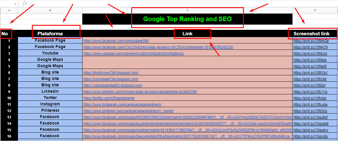 I will do website in google top ranking with first page and SEO