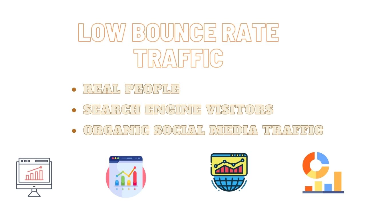 1000 Daily Real Web Traffic USA