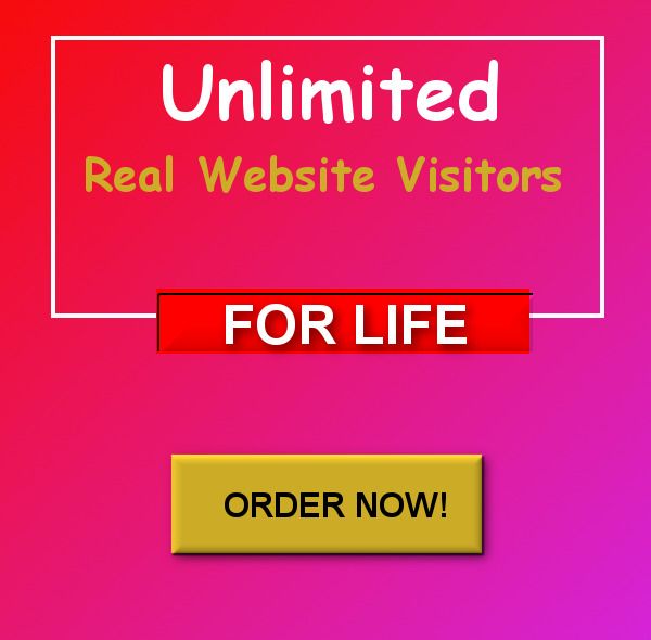 i will drive real and organic traffic for your website to targeted audience