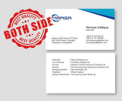 Developer Company BUSINESS CARD