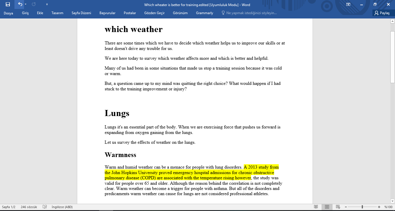 I will write blog posts and SEO friendly content for your website