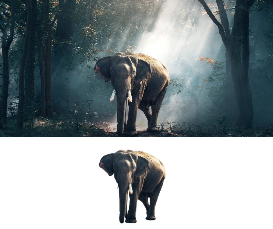 I will remove background from 20 image professionally in 4 hours