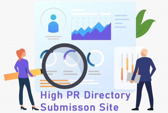 I Will Do High Quality 250 Directory Submission SEO Backlinks.