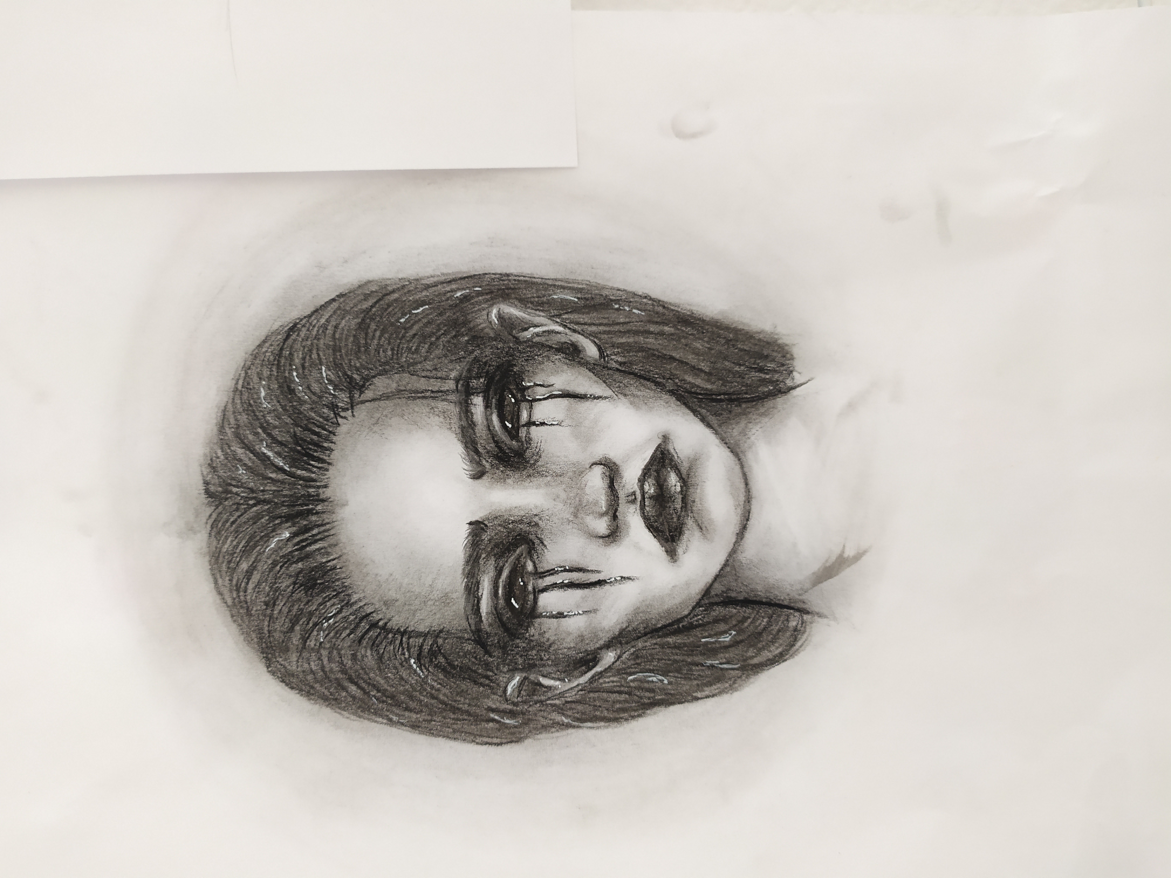 I will do professional sketch and illustration