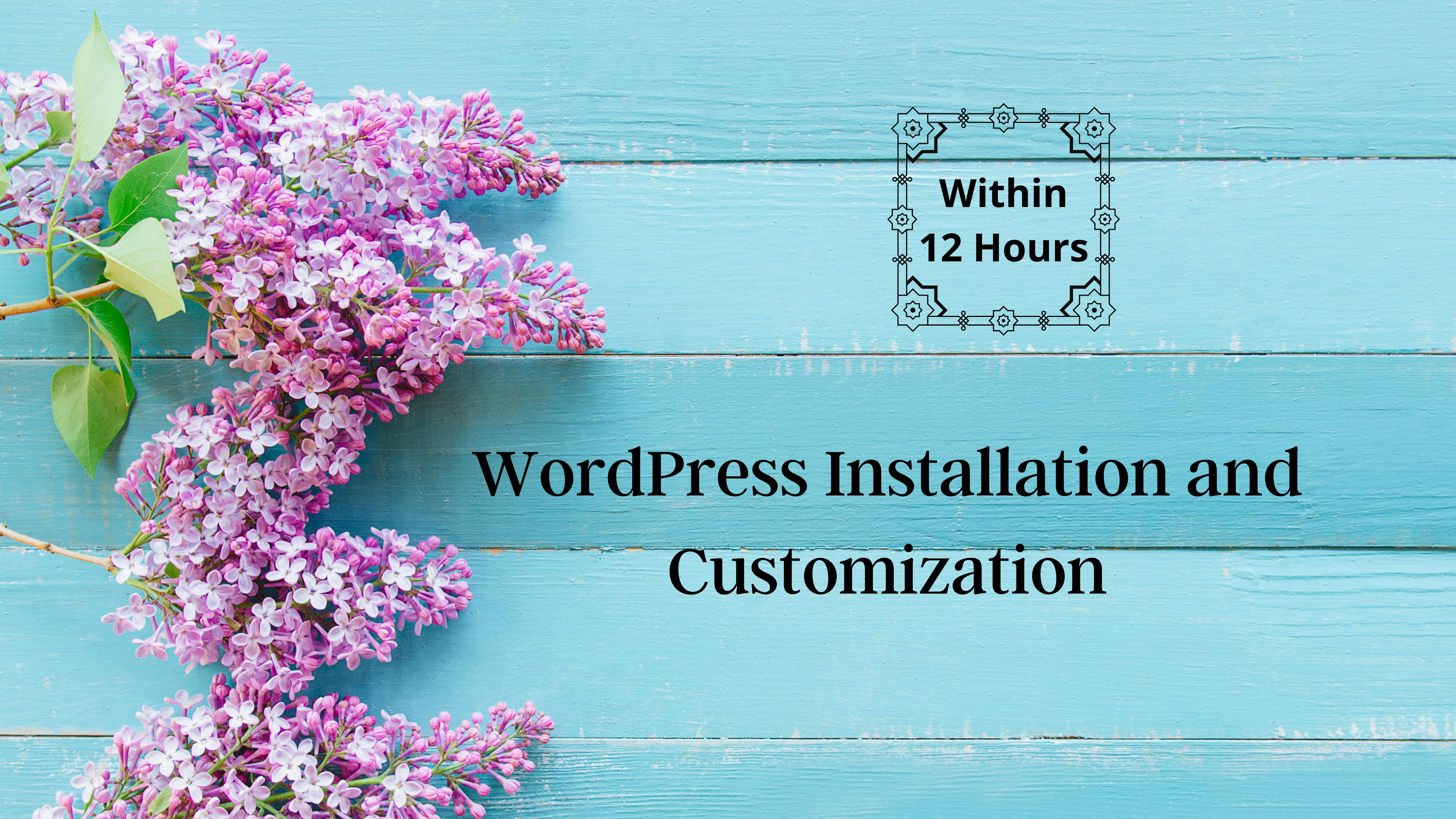 I will install WordPress, set up a theme, do customization within 12 Hours
