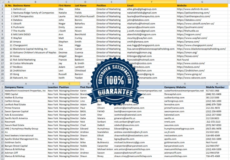 I will do targeted b2b lead generation, linkedin leads, niche targeted email list