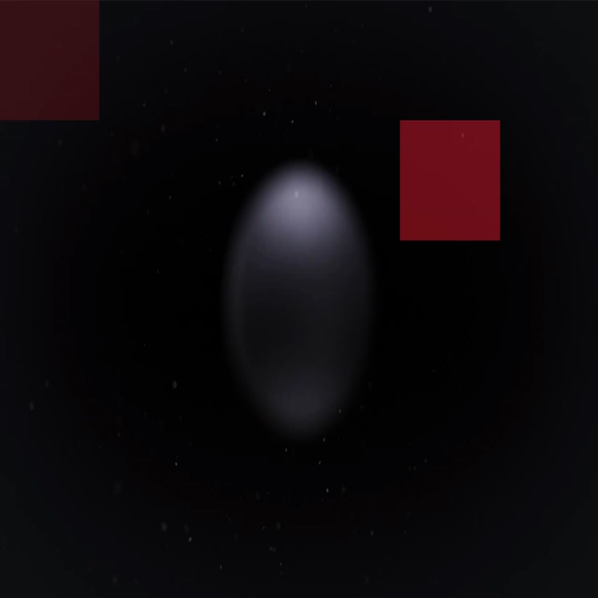 I will do 4 professional logo animations wit an extra gift in 1 hour