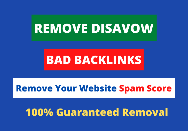 I will disavow bad backlinks and remove your website spam score