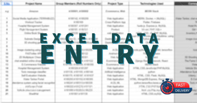 I will do excel data entry, copy paste, excel chart, shopify product virtual assistant