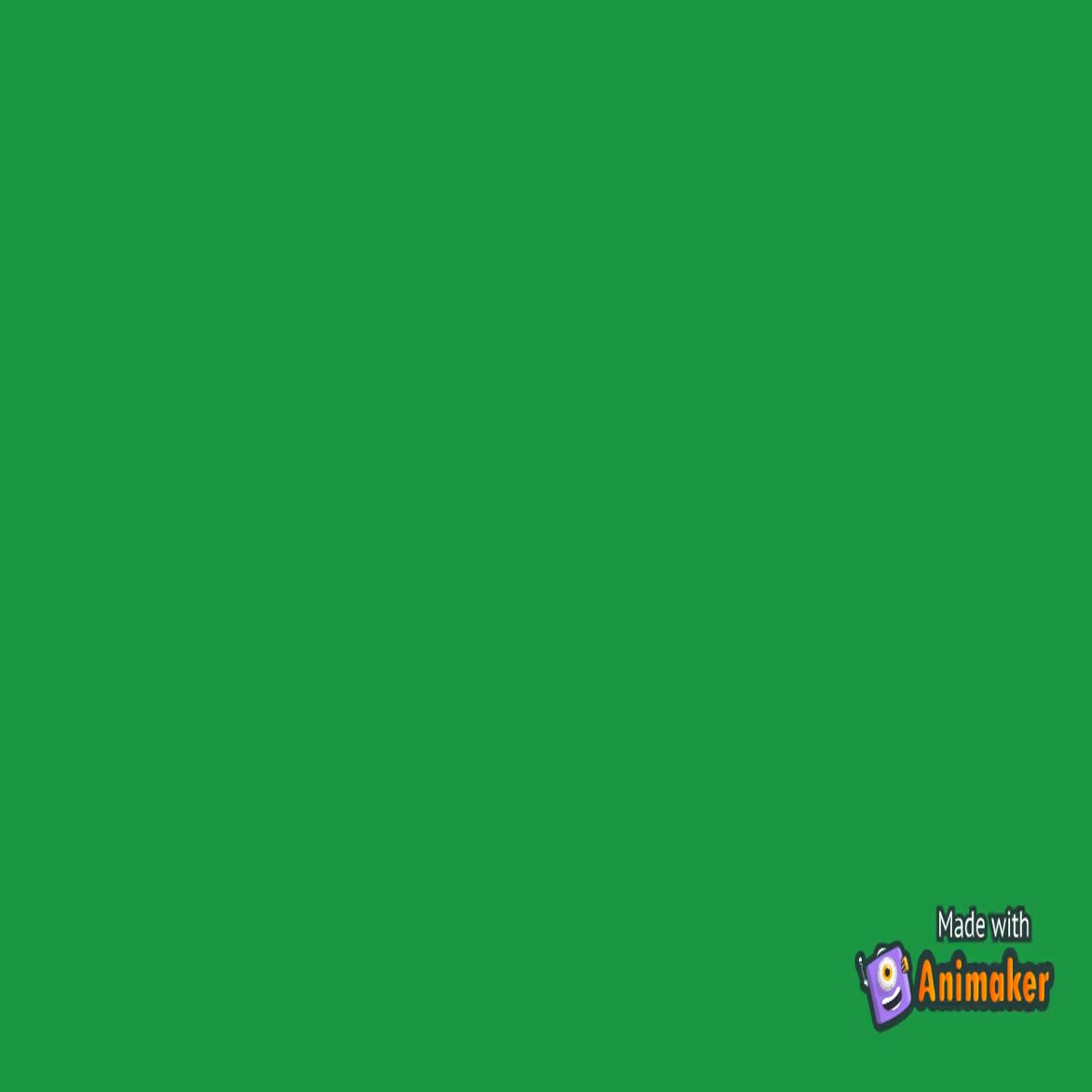  Are you looking for unique videos? Here I am to help you.