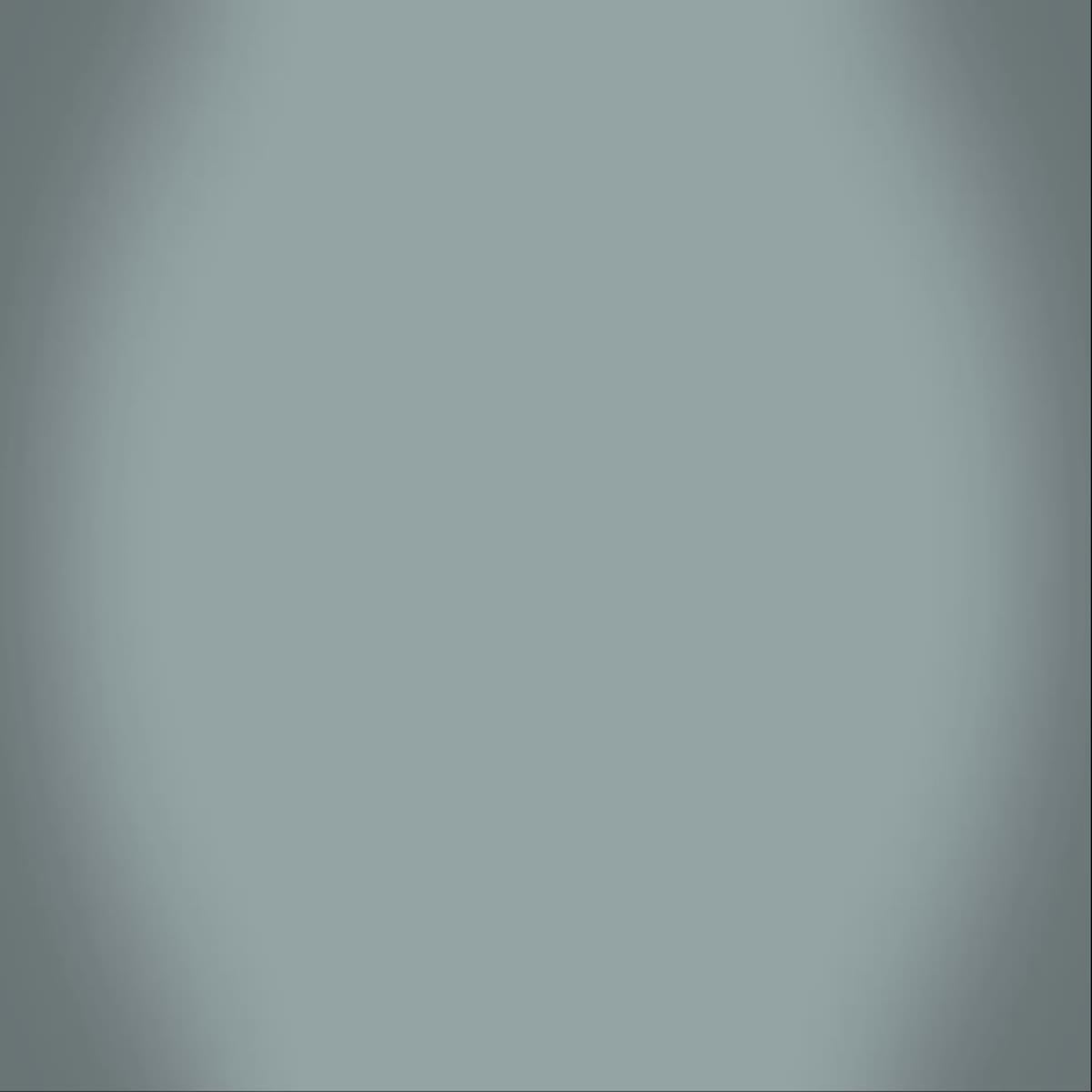 I will do pest control animated promo video 