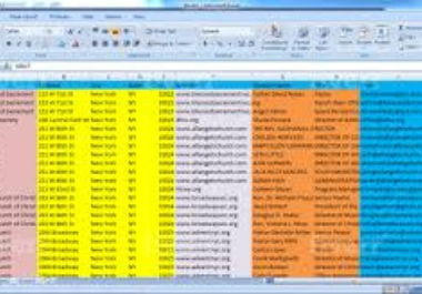 I will be your Virtual Assistant for DATA ENTRY, DATA Mining, DATA Scraping