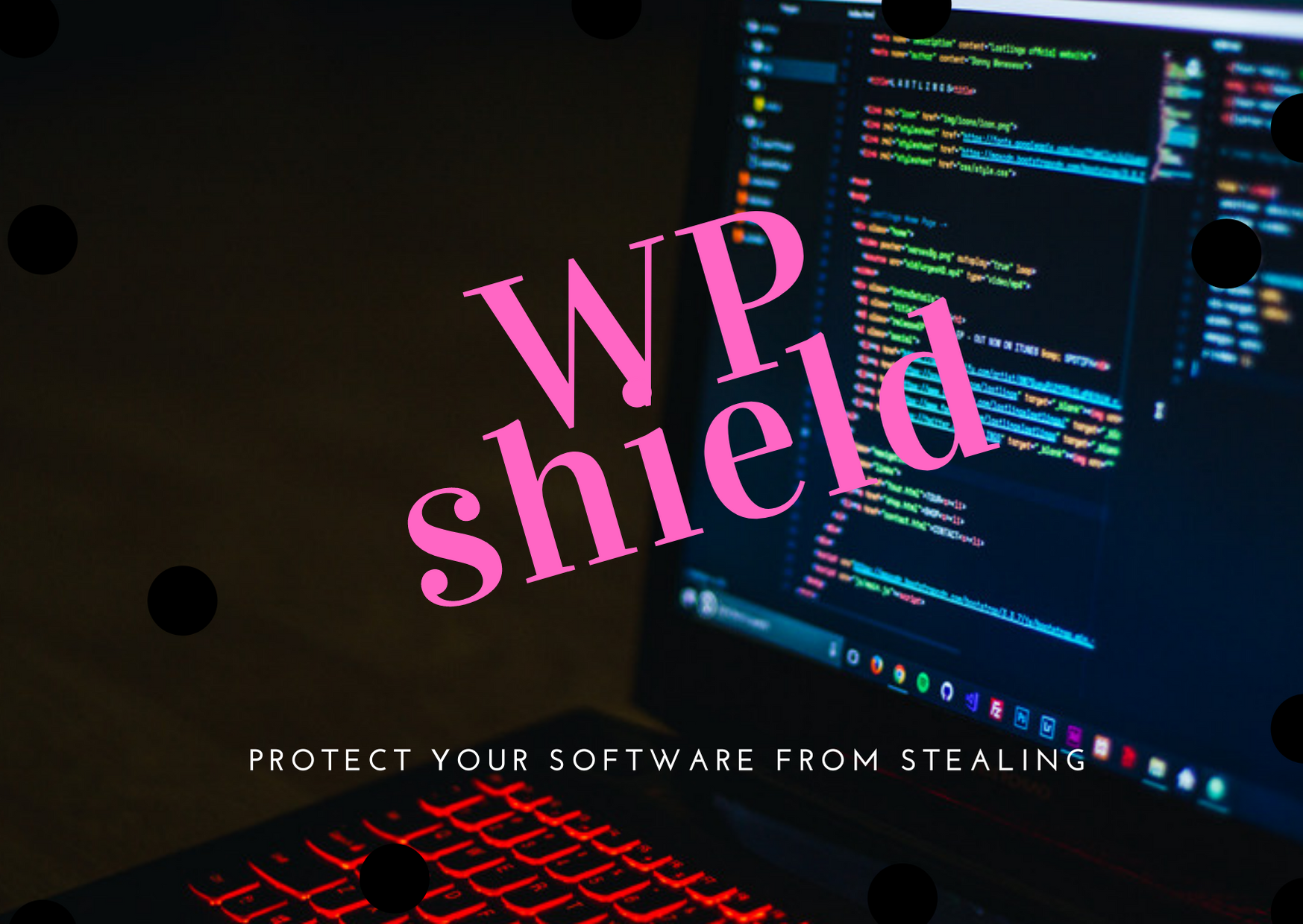 WP SHIELD,protect your software from stealing