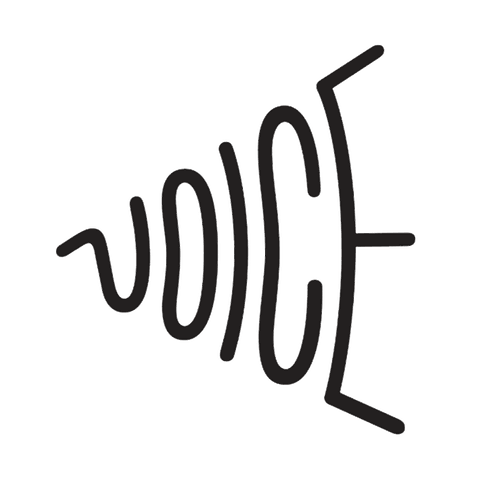 VoiceOver Expert Just For You BUY NOW