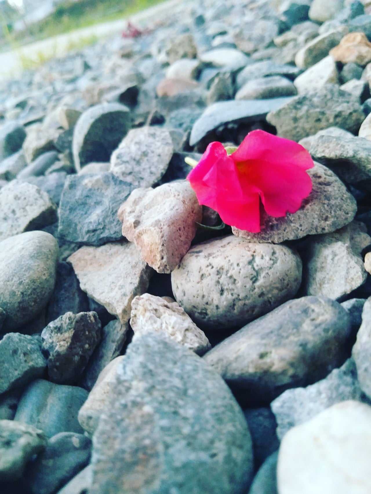 Friendly designer ready to create a classy designs and artwork