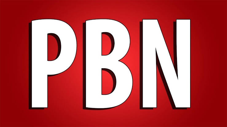 We Skyrocket your With 15 PBNs Permanent HIGH Quality Backlinks