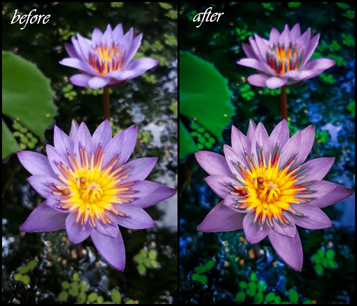 I will do 5 photo retouching and editing in 1 day