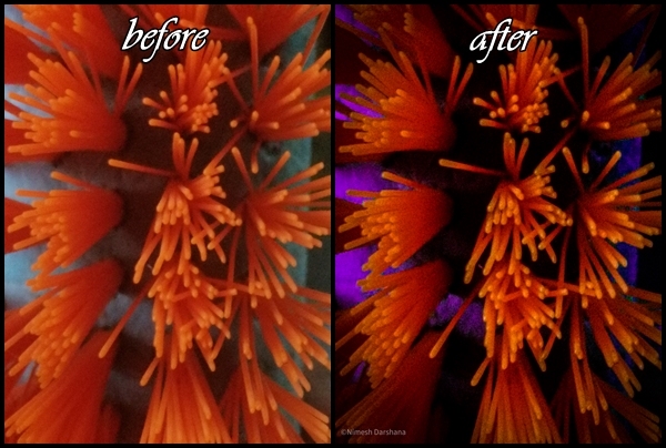 I will do photo editing and photo retouching in 2 hours