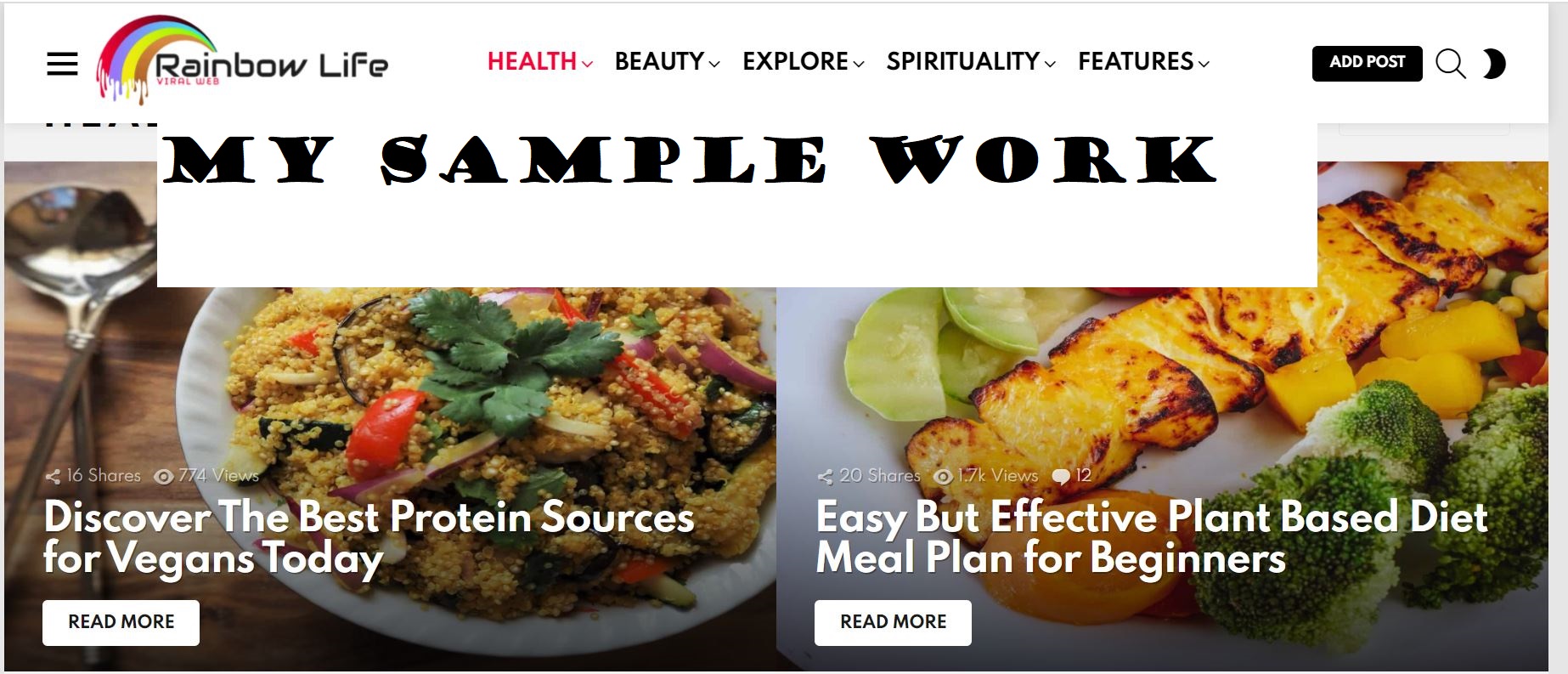 I will write you SEO optimized article or blog post