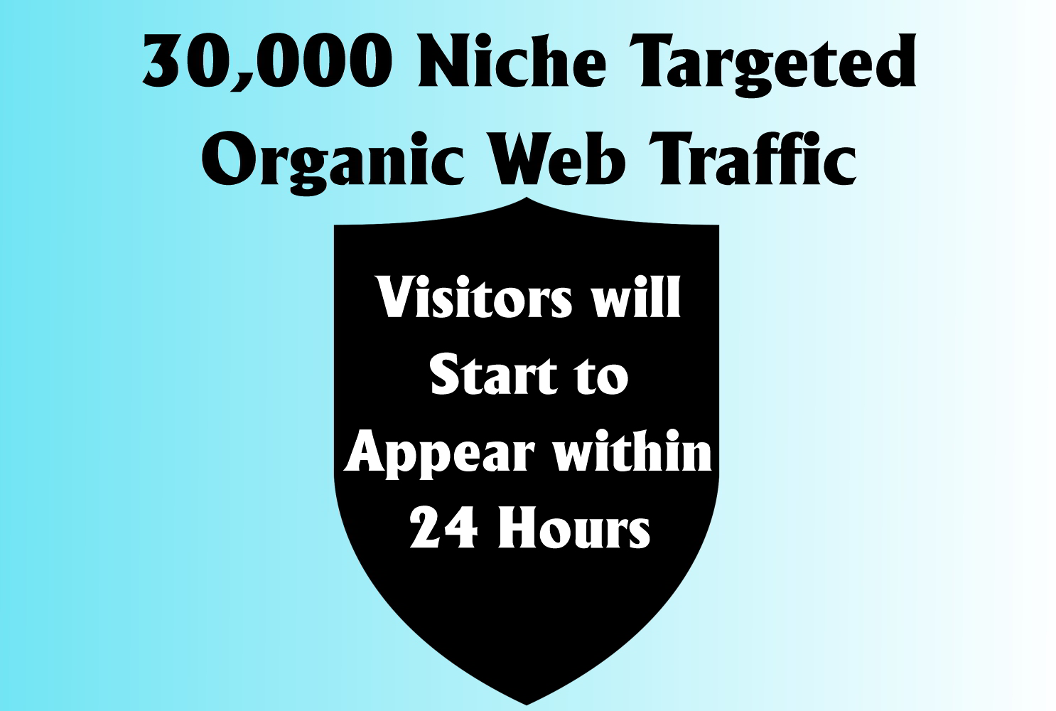Daily 30,000 keyword targeted web traffic for 30 days