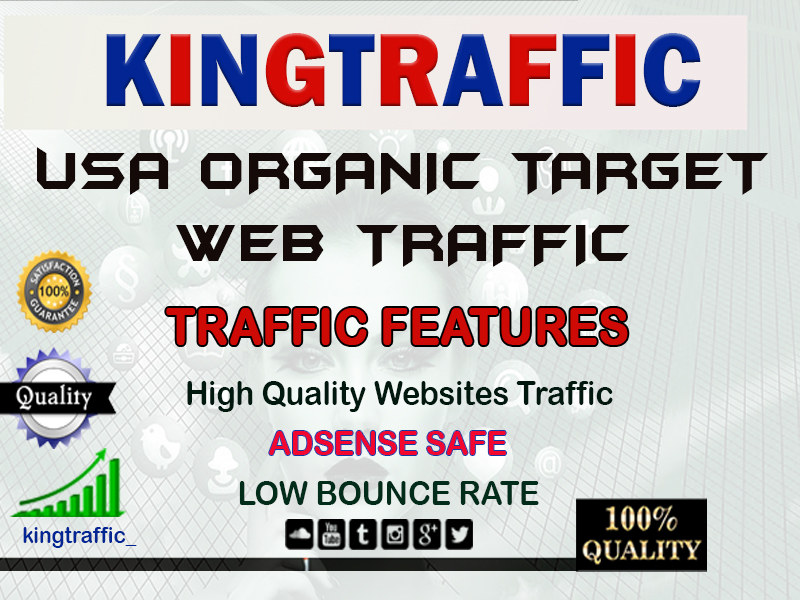 50,000 Real and Organic USA target web traffic within 30 Days 