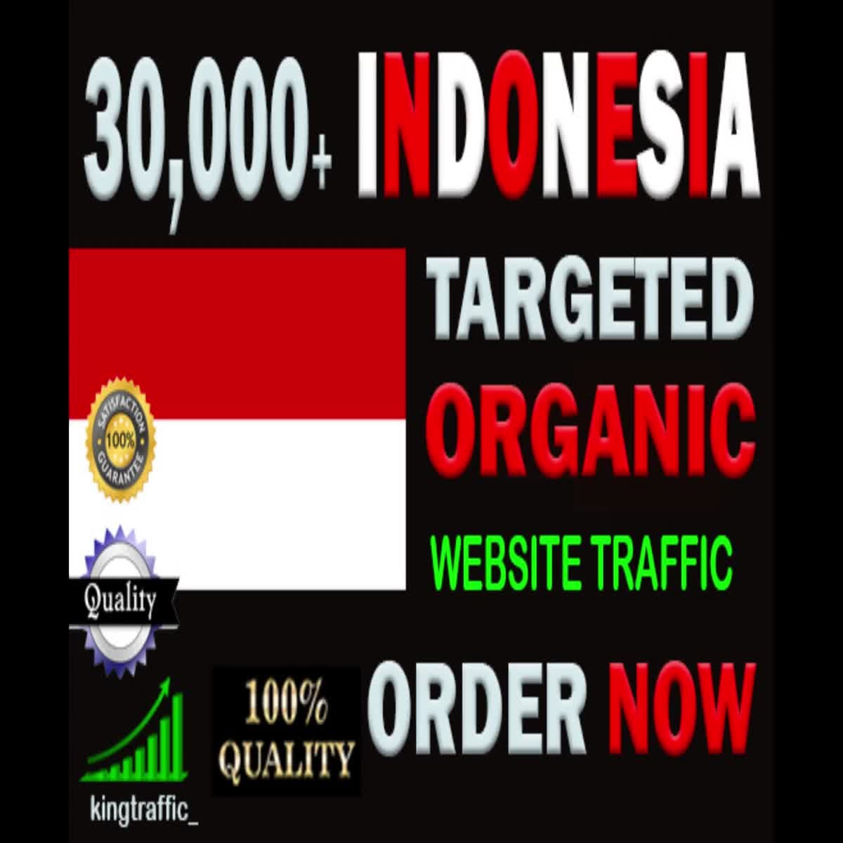 30,000 High Quality Indonesian web visitors real targeted Genuine web traffic from Indonesia