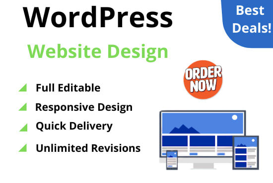 I will design professional and responsive WordPress website for You