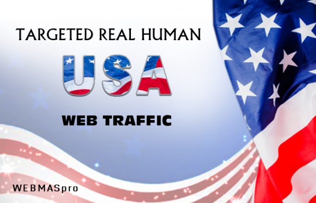 Real 1,000 USA Human Traffic in search Google analyti...