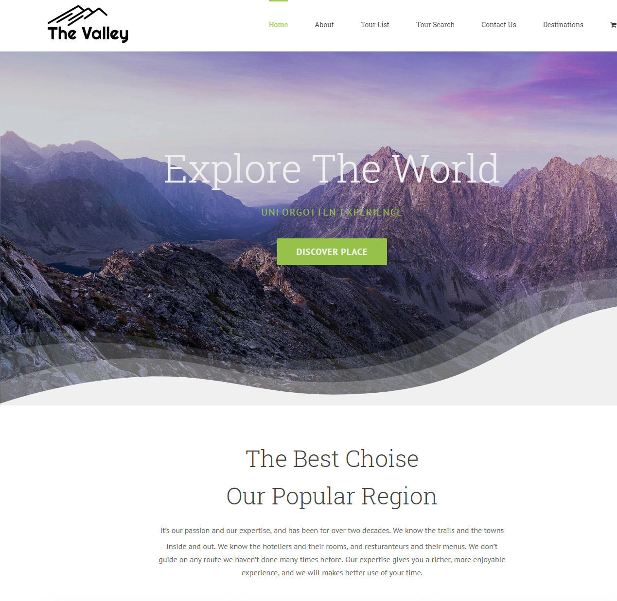 I will create wordpress website or landing page using elementor pro, divi, astra pro, avada