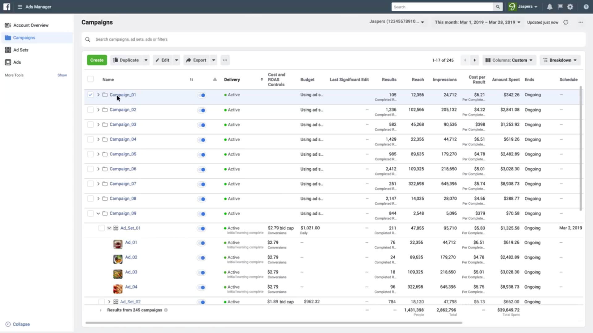I will setup Facebook ads campaign with your targeted audience