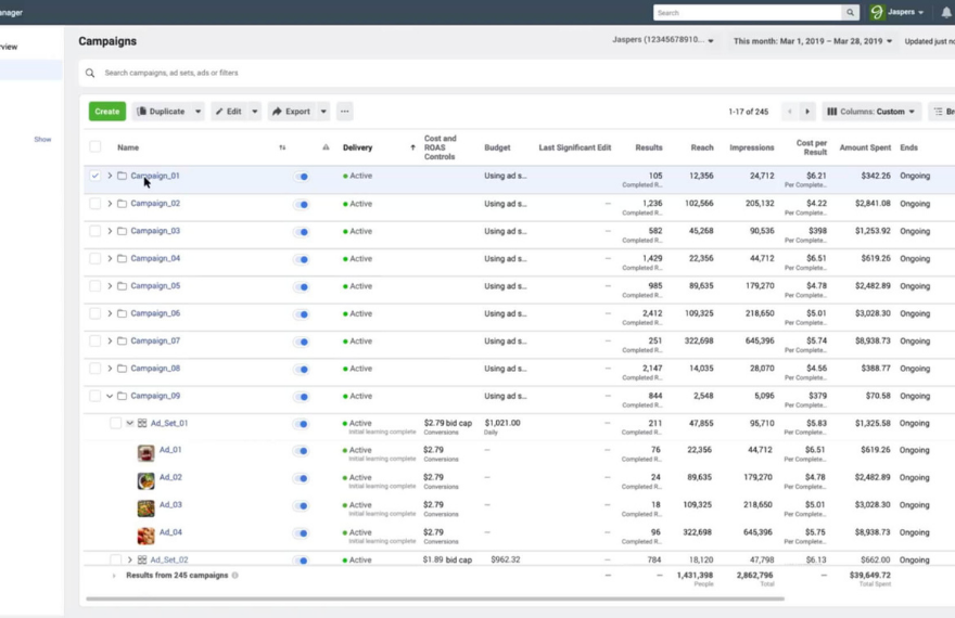 setup Facebook ads manager and run ads campaign for your Business 