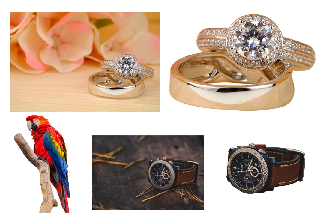 Professional Photo Editing by Photoshop