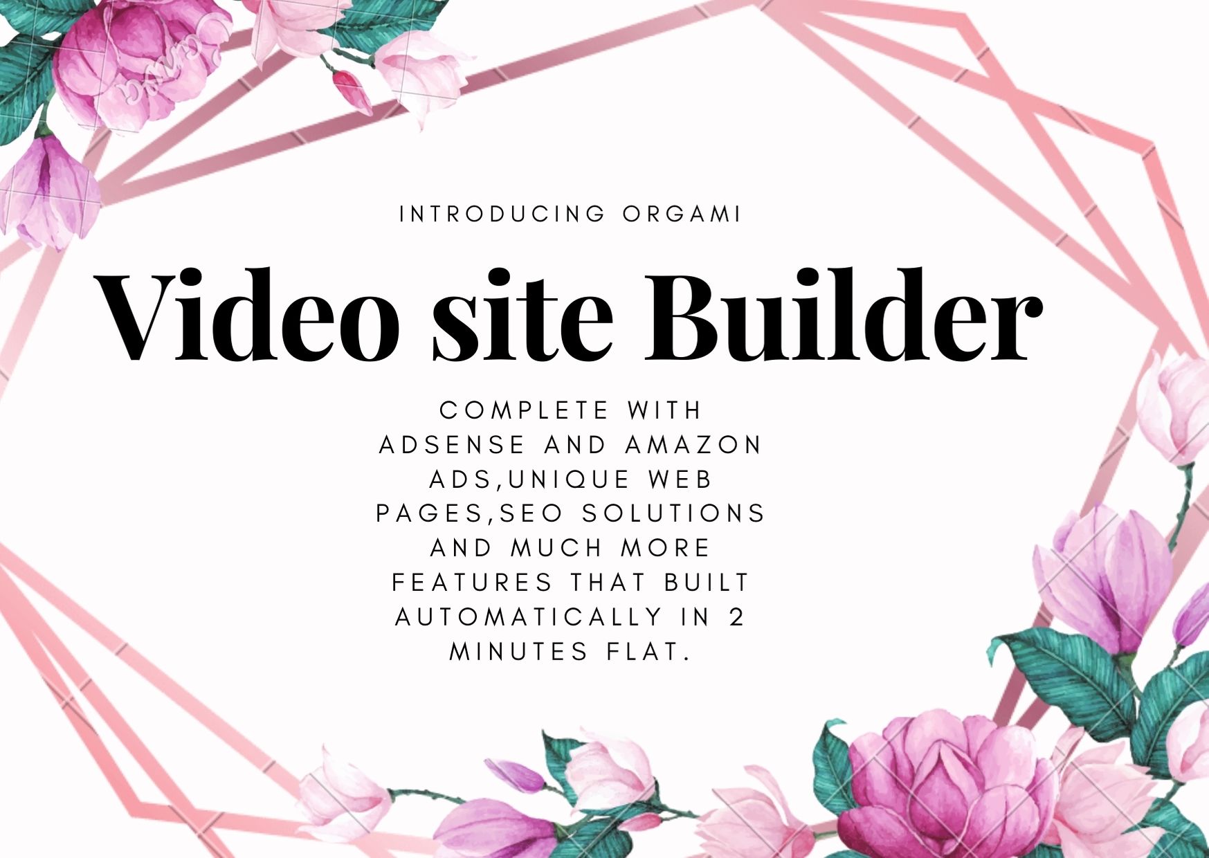 Intoducing Origami Video Site Builder.This software will help you to instantly create your own money