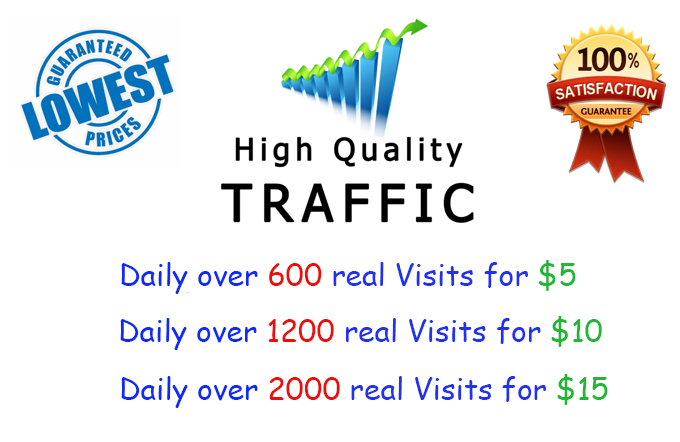 I will drive real Unlimited web traffic for 30 days