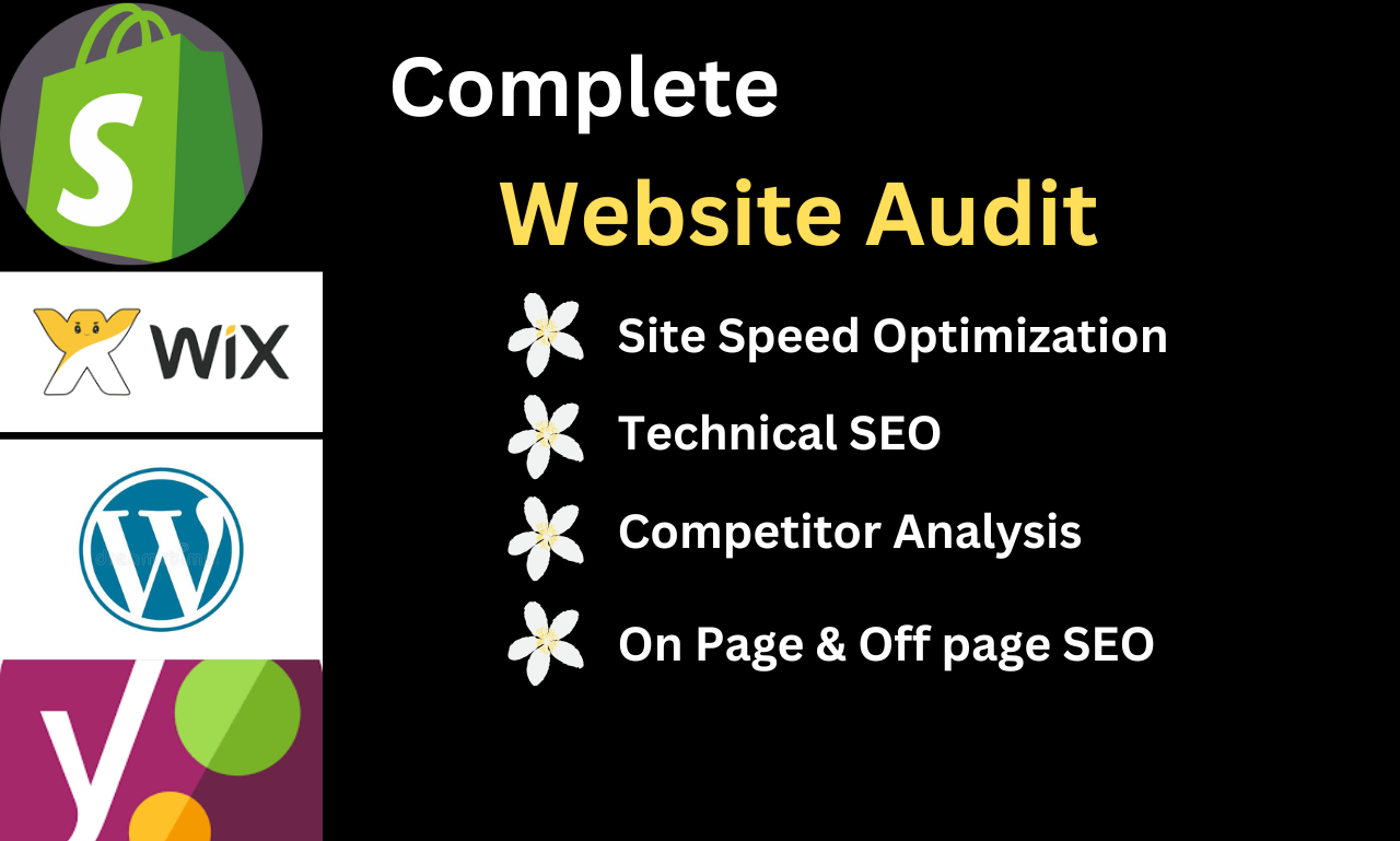 I will provide details audit with competitor analysis