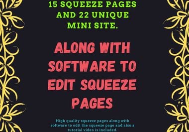 I will provide 15 squeeze pages and 22 unique mini-we...