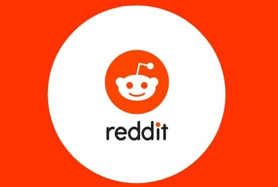 Fastest Traffic On Your Website With 10 High Quality Reddit Guest post