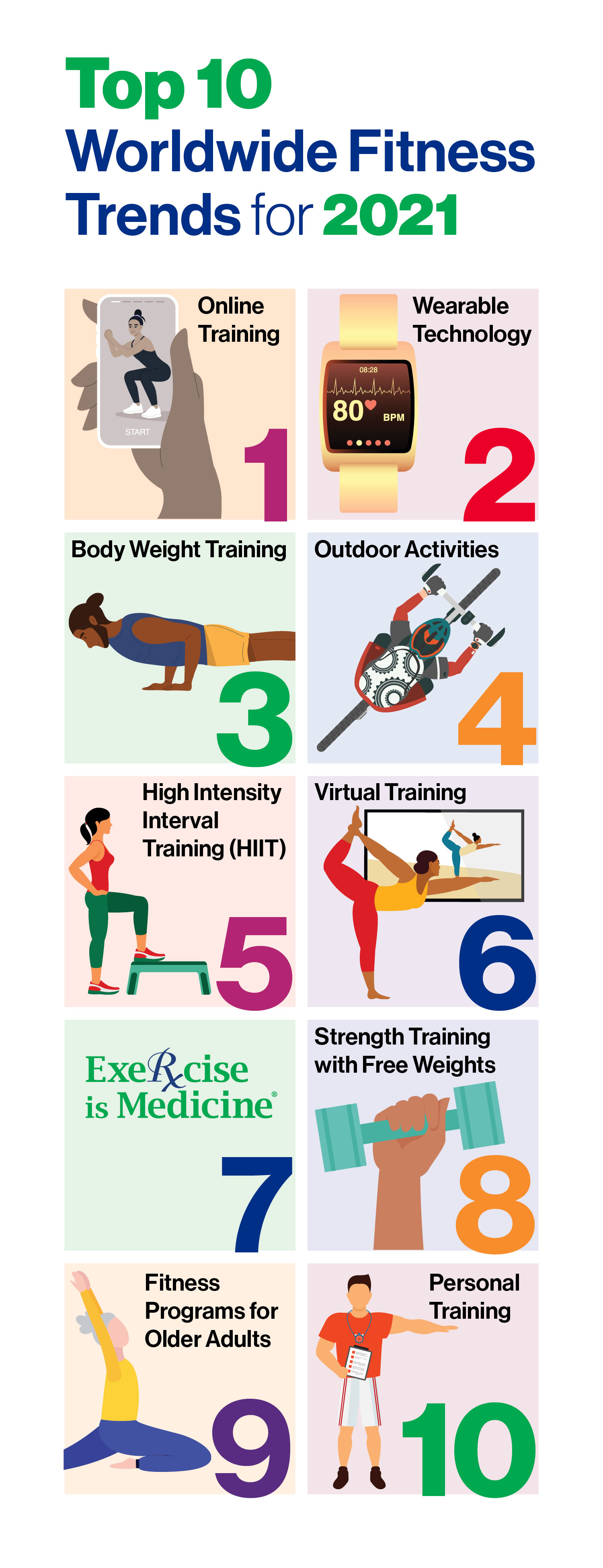 Professional Strong and Successful Training Program (1000-1250 words)