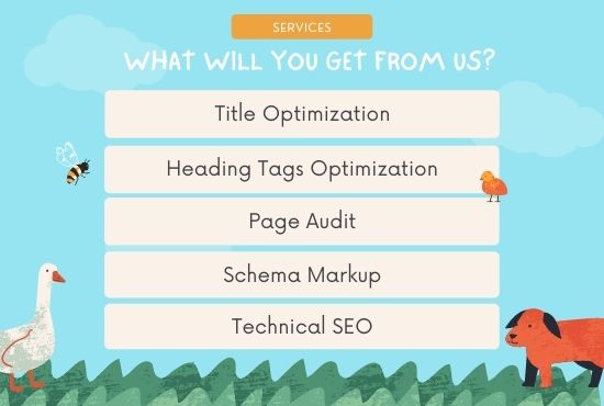 I will do on page SEO optimization for your wordpress website