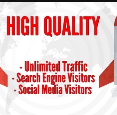 PREMIUM 30000 real SEO TRAFFIC with Search Engine and...