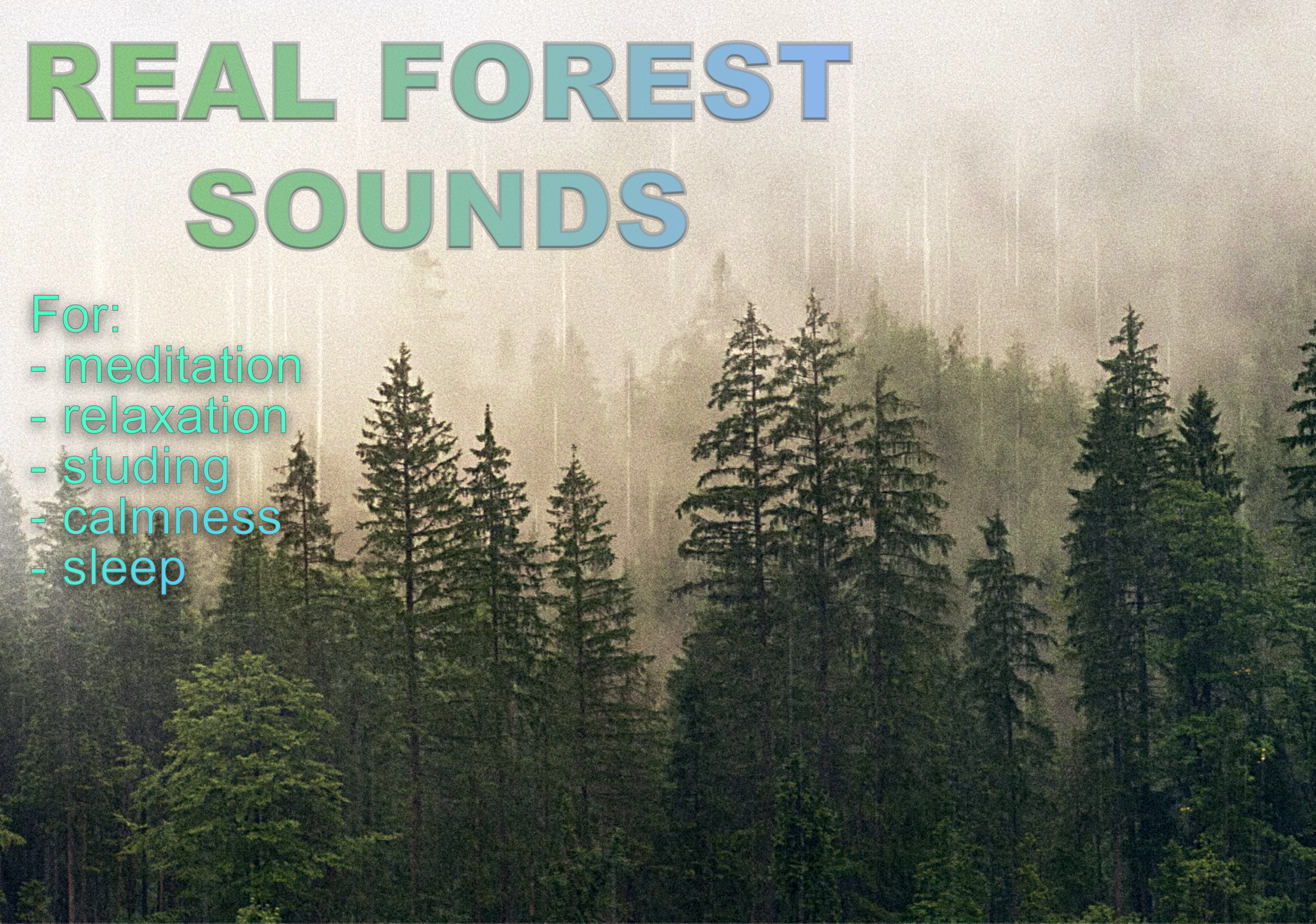 I recorded the sounds of the forest in. Stereo sounds...